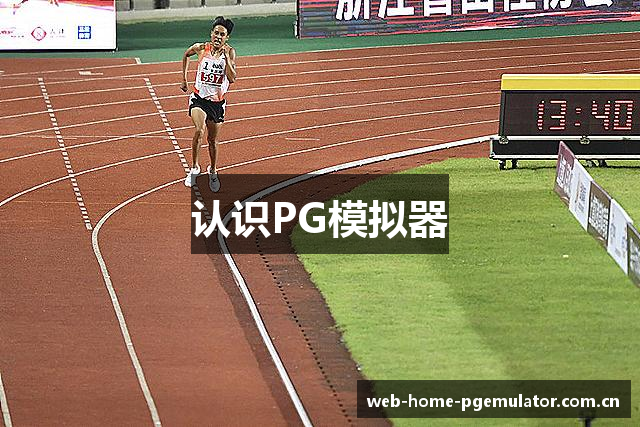 认识PG模拟器